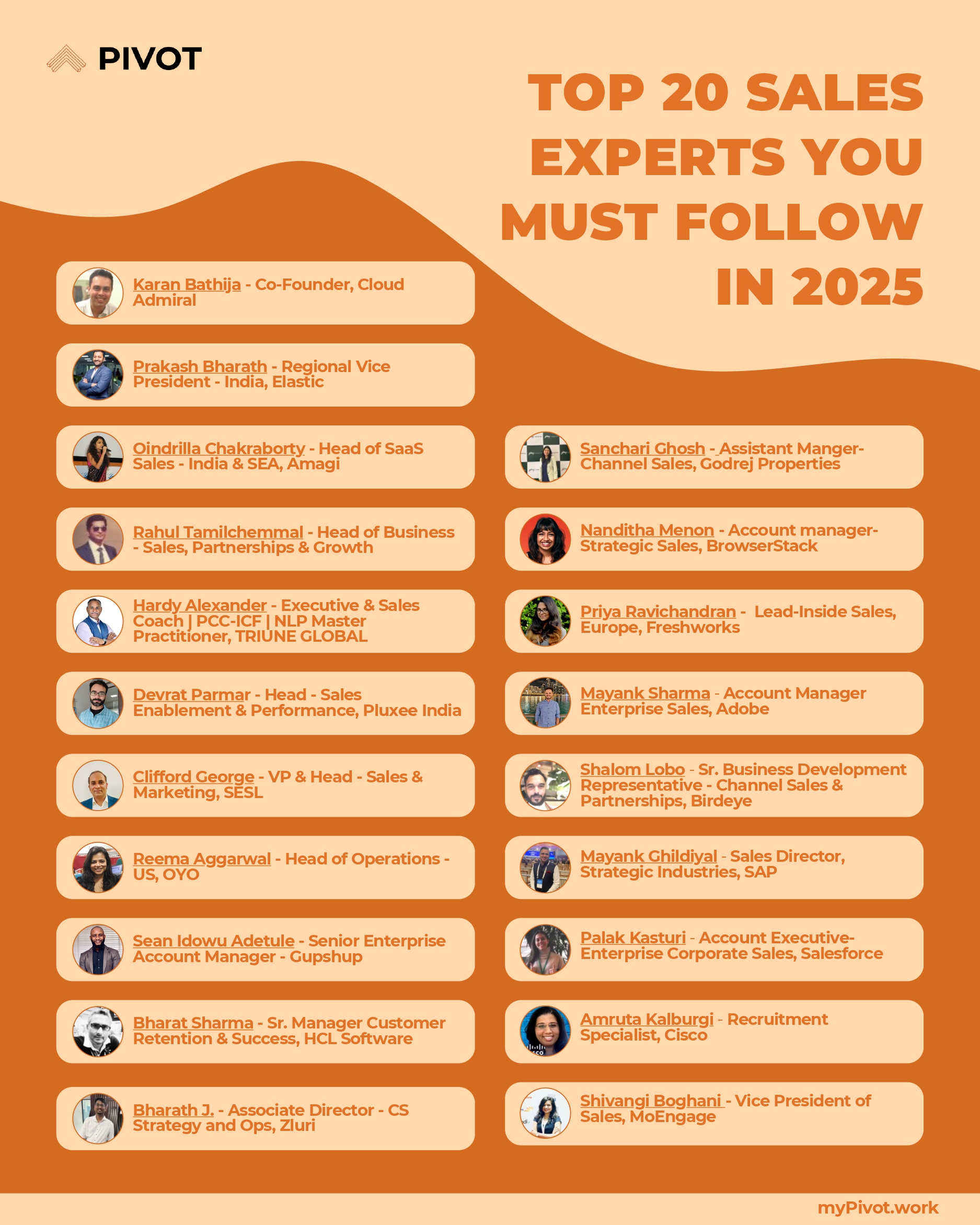 20 Sales Expert Cheat Sheet resume template preview - cheat-sheets professional template