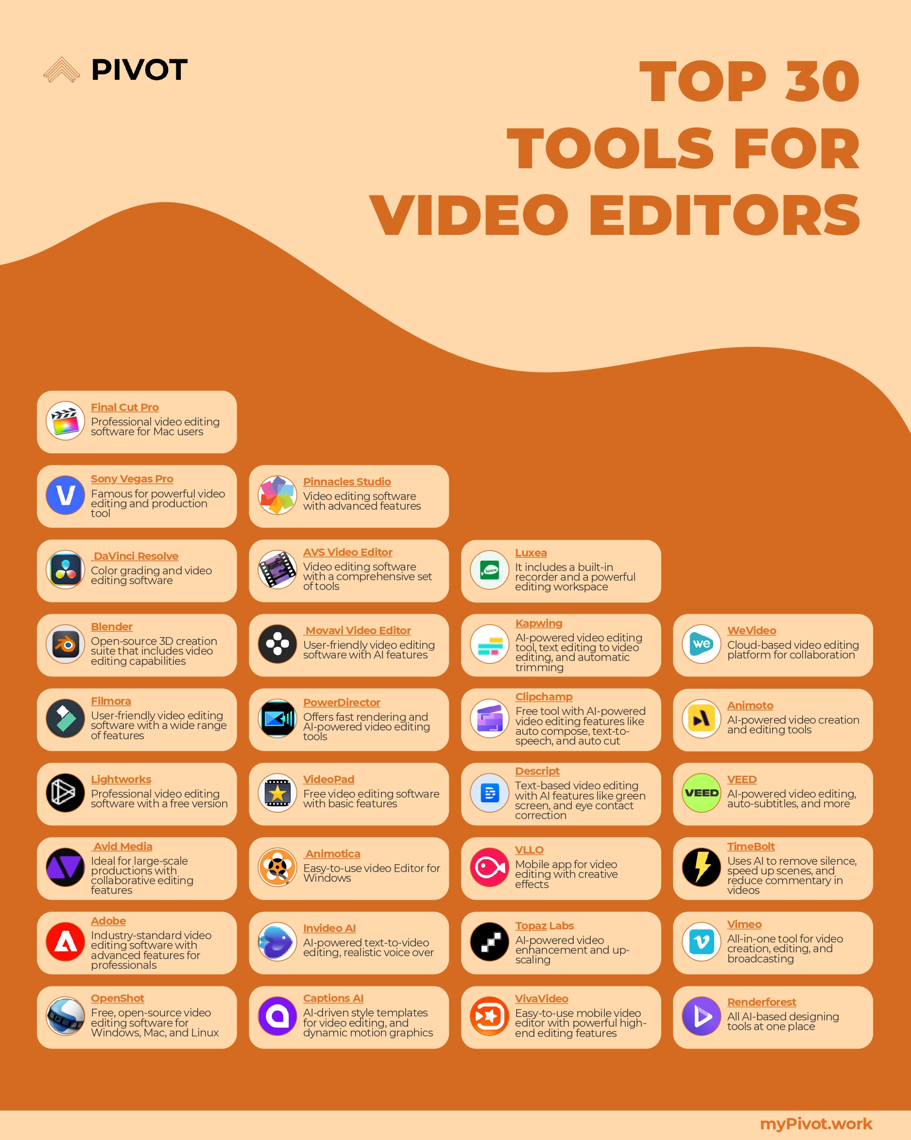 30 Tools for Video Editors Cheat sheet resume template preview - cheat-sheets professional template