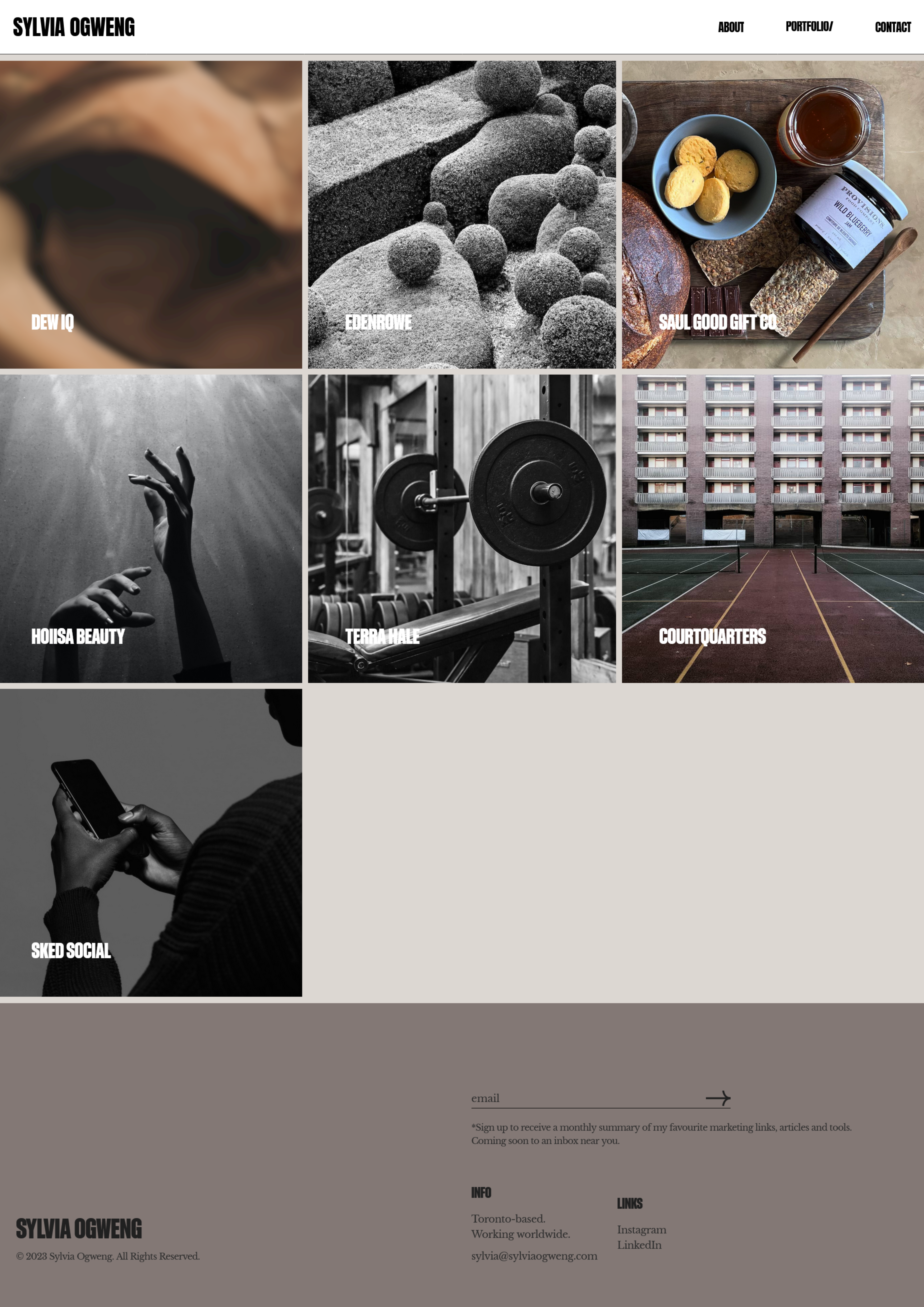 Marketing Portfolio Example resume template preview - work-portfolios professional template